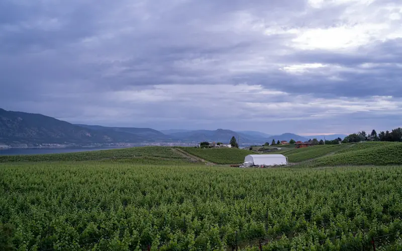 Lake valley farmland